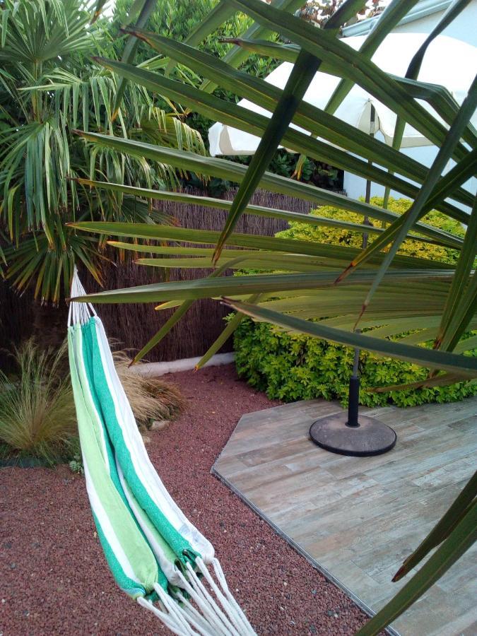 Les Palmiers - Vacation Home Saint-Xandre ภายนอก รูปภาพ